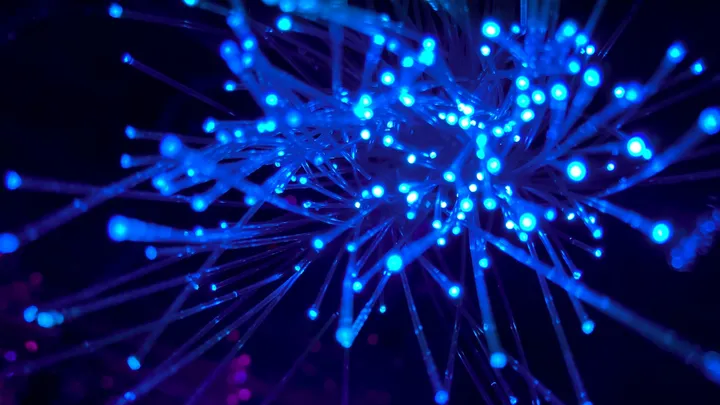 Abstract purple fibers resembling neural network connections