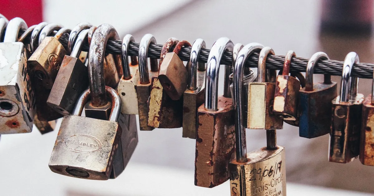 Padlocks attached to a network cable